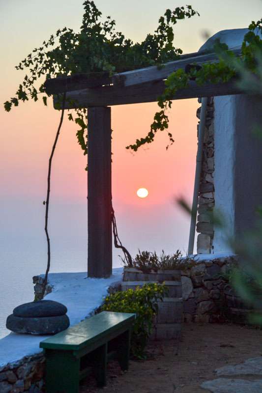 Traditional house with vineyard